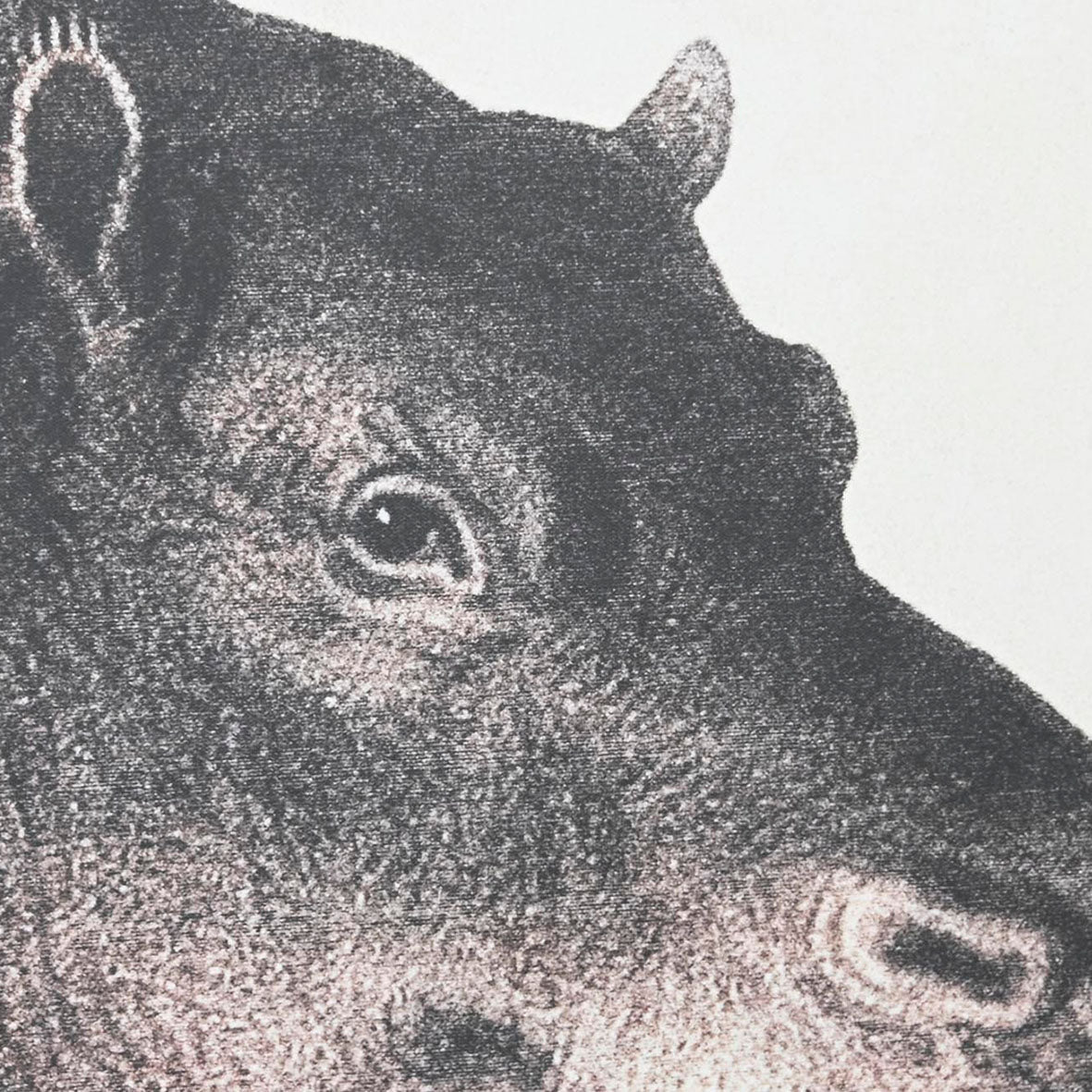 Tríptico Hipopótamo Tonos Grises